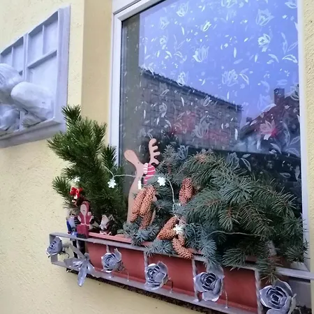 Lejlighed Usis_ferienwohnung Im Harz